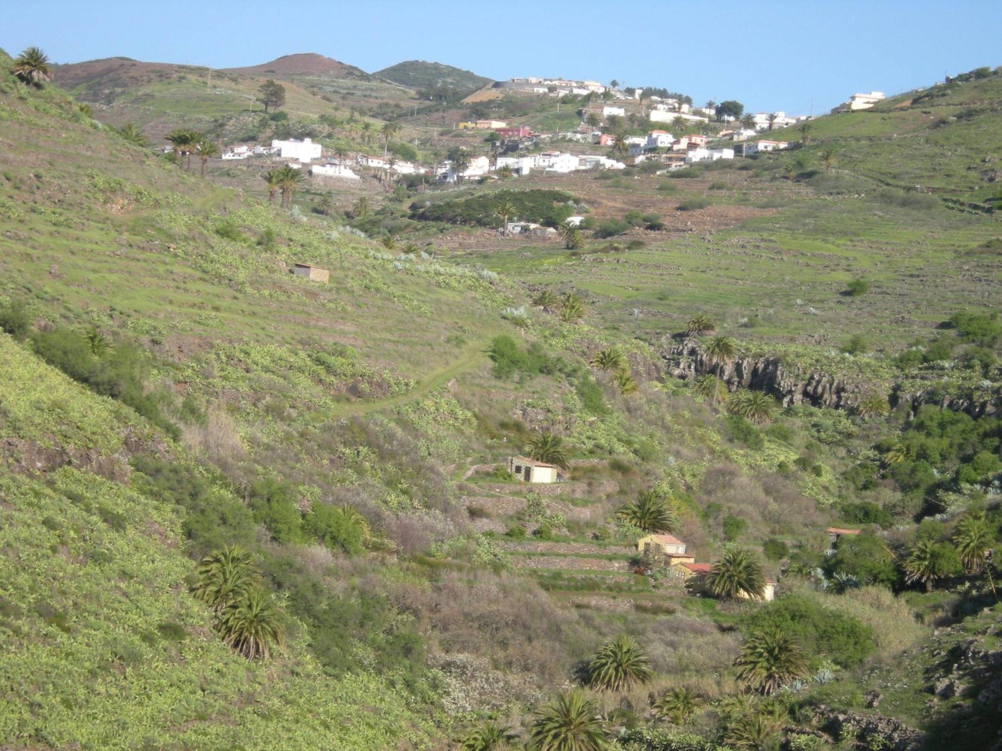 Apartment La Hoya Del Cura
